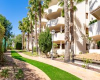 Вторичное жилье - Apartamento - Пунта Прима