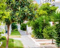 Вторичное жилье - Apartamento - Torrevieja - Калас Бланкас