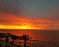 Вторичное жилье - Apartamento - Torrevieja - Playa del Cura