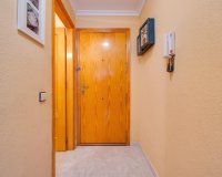 Вторичное жилье - Apartamento - Torrevieja - Торревьеха