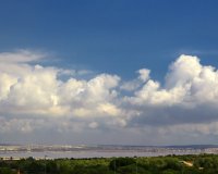 Вторичное жилье - Апартаменты/Квартира - Лос Альтос