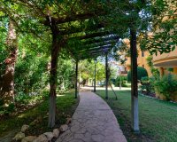 Вторичное жилье - Апартаменты/Квартира - Пунта Прима