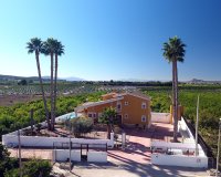 Вторичное жилье - Finca Country Property - Orihuela-Costa - Ориуэла