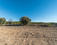 Вторичное жилье - Finca Country Property - Pilar de la Horadada - Pinar de la Perdiz