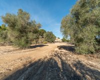 Вторичное жилье - Finca Country Property - Pilar de la Horadada - Pinar de la Perdiz