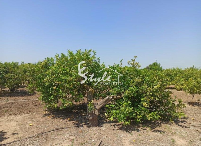 Вторичное жилье - Finca Country Property - Сан Мигель де Салинас - San Miguel De Salinas