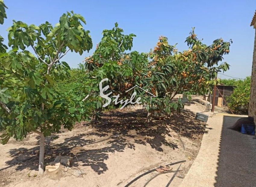 Вторичное жилье - Finca Country Property - Сан Мигель де Салинас - San Miguel De Salinas