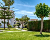 Вторичное жилье - Townhouse - Торревьеха