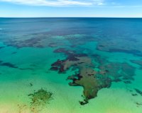 Вторичное жилье - Вилла - Кампоамор - Дееса де Кампоамор