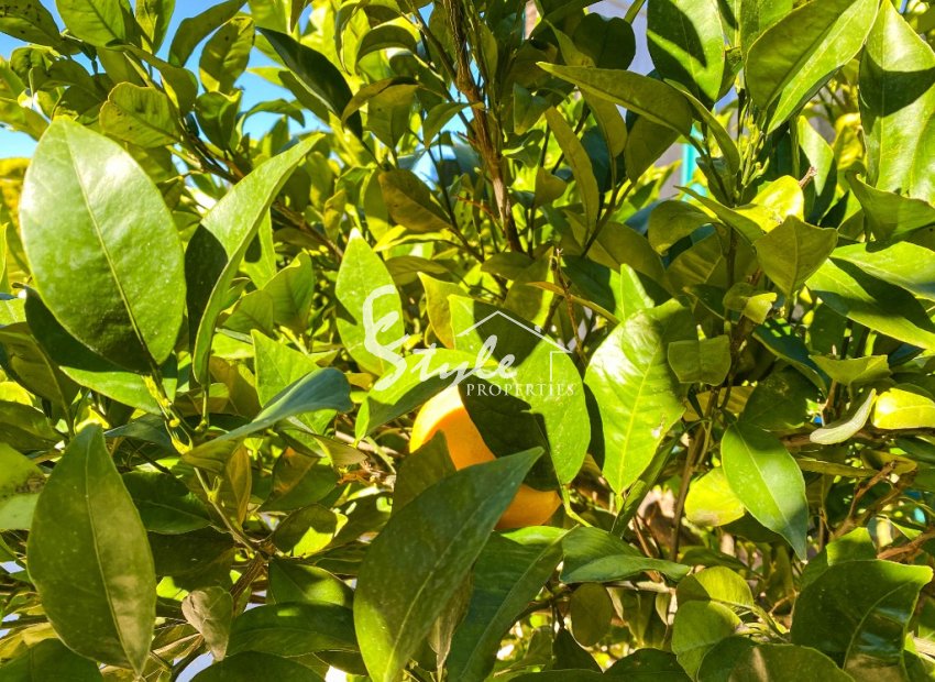 Вторичное жилье - Вилла - Ла Зения