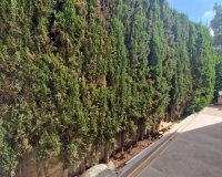 Вторичное жилье - Вилла - Лас Рамблас - Las Ramblas