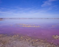 Вторичное жилье - Вилла - Лос Альтос