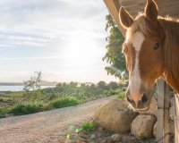 Вторичное жилье - Вилла - Orihuela-Costa - Ориуэла Коста