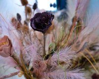 Вторичное жилье - Вилла - Сан Мигель де Салинас - San Miguel De Salinas