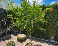 Вторичное жилье - Вилла - Сьюдад Кесада