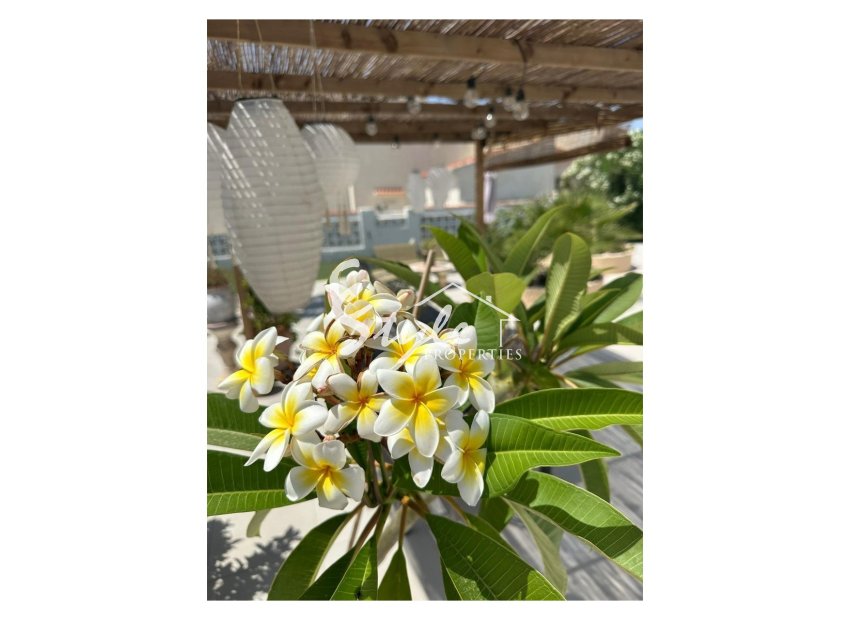 Вторичное жилье - Вилла - Торревьеха - San luis