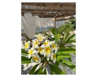 Вторичное жилье - Вилла - Torrevieja - San luis