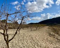 Вторичное жилье - Земельный участок - Murcia - Costa Cálida