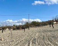 Вторичное жилье - Земельный участок - Murcia - Costa Cálida