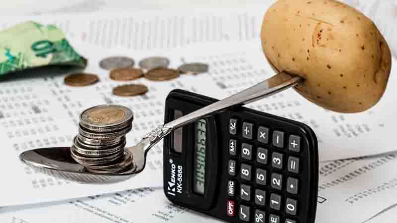 Guide to organize your domestic economy in an easy way