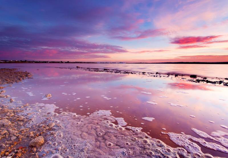 Torrevieja presents second edition of Music In The Park