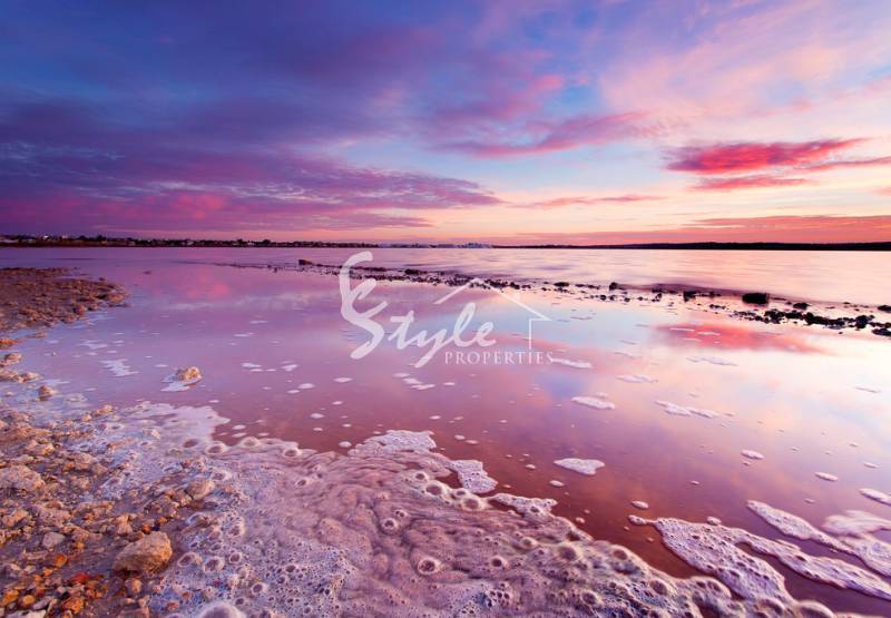 В Торревьеха будет проходить второй концерт парковой музыки 