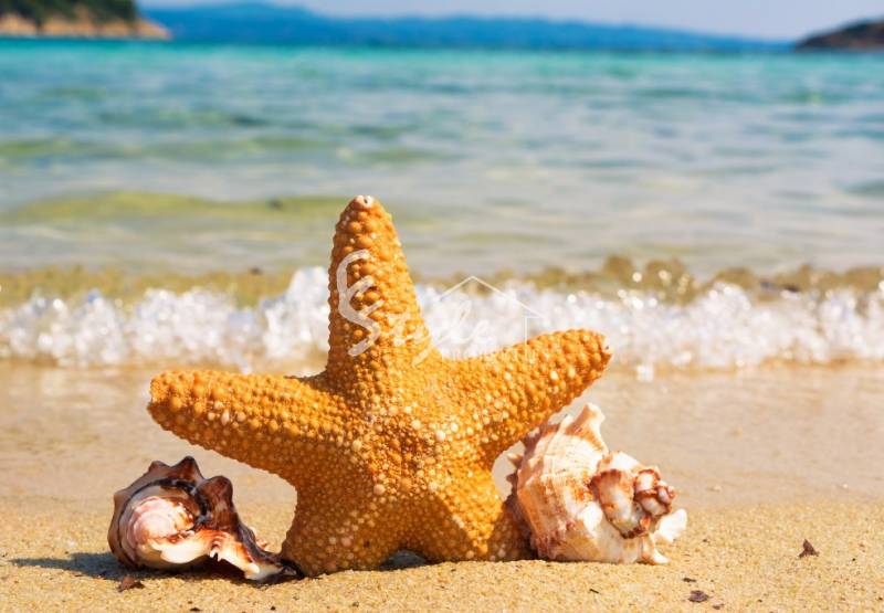 Знаете ли вы наши свойства новостройки Коста Бланка?