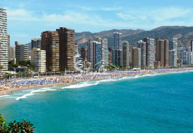 Record-breaking tourism figures for Costa Blanca in December