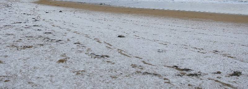 ​Largest snowfall in a century in Torrevieja and Orihuela Costa