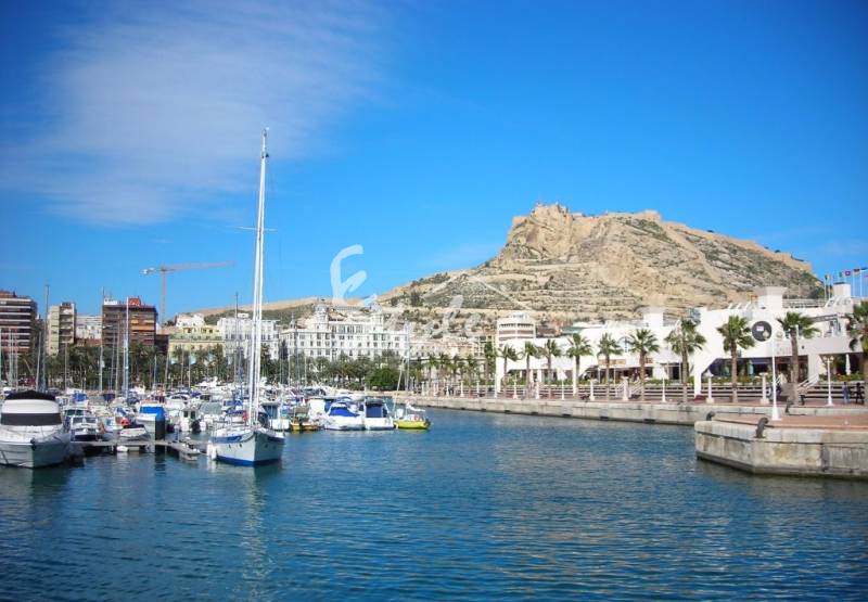 Треть туристов на Коста Бланка приехали из Великобритании