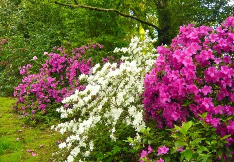 Советы по уходу за вашим домом на побережье Коста Бланка