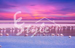 Torrevieja, Costa Blanca, Spain -3