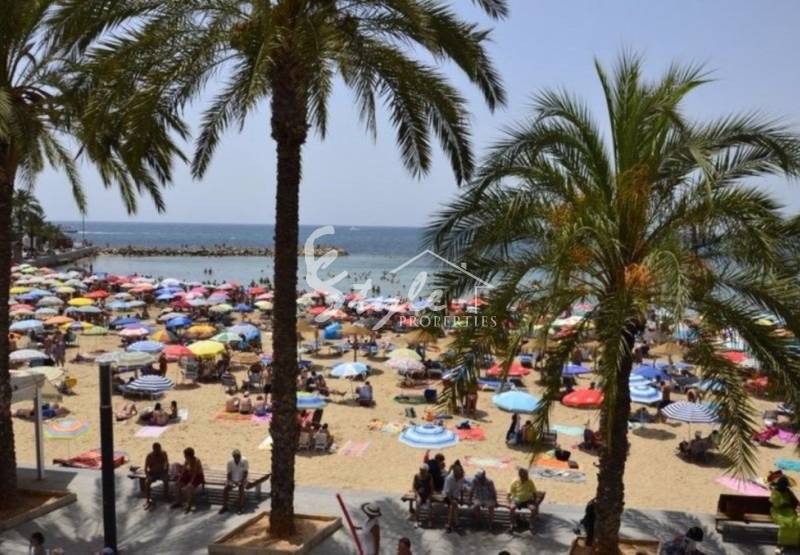 На Коста Бланка начался период повышенного внимания на дорогах