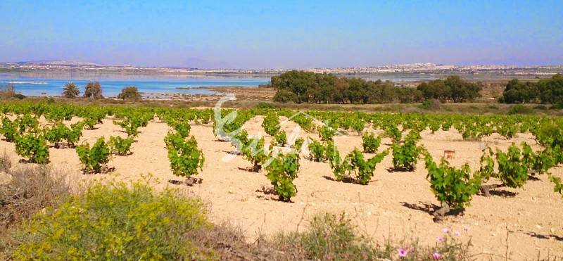 Эко-туризм в Ла Мата, Торревьеха, Коста Бланка, Испания