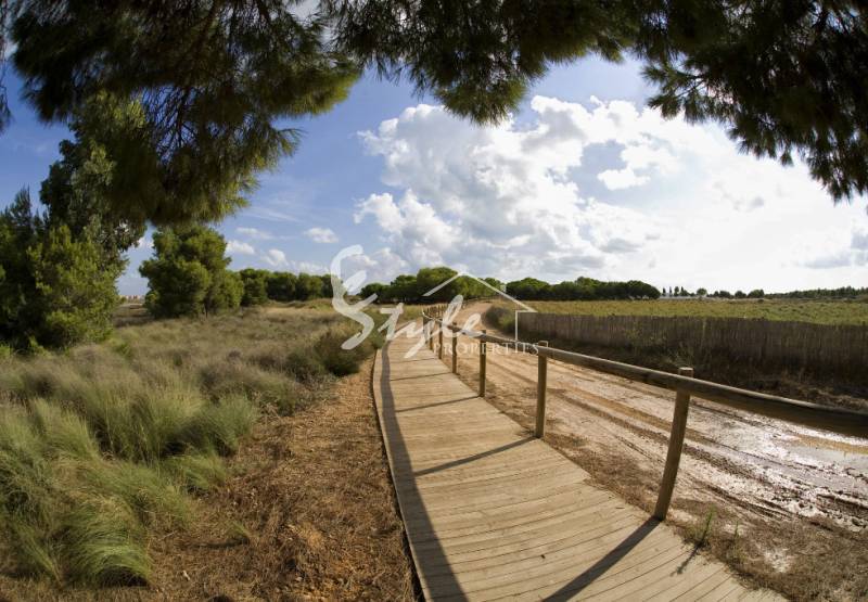  Озеленение Торревьехи.