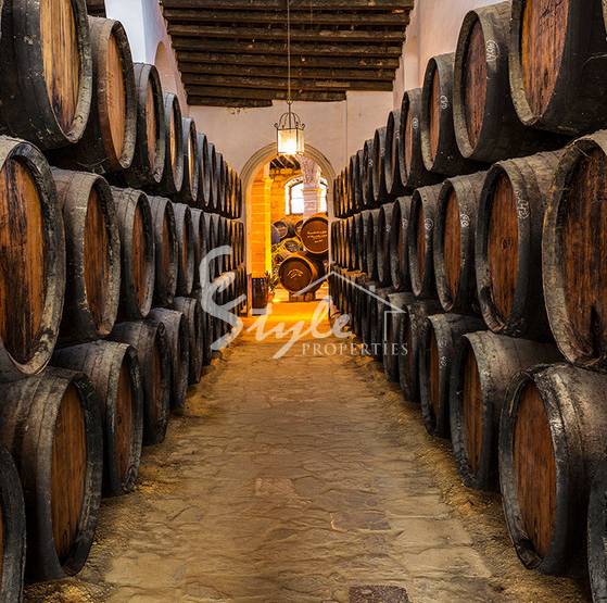 Четыре испанских винодельни попали в мировой топ-50