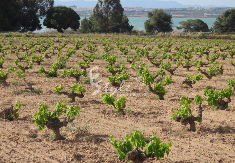 ​Free guided walks in the natural park of Torrevieja, Costa Blanca, Spain