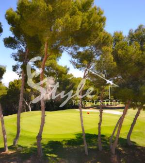 Вилламартин