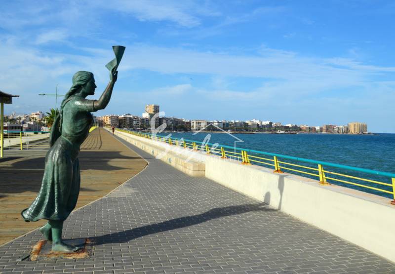 Как лучше отдохнуть в г.Торревьеха этим летом 