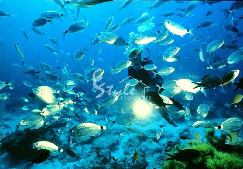 Выставка подводного плавания Dive Travel Show