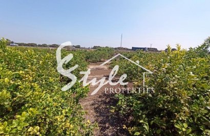 Вторичное жилье - Finca Country Property - Сан Мигель де Салинас - San Miguel De Salinas