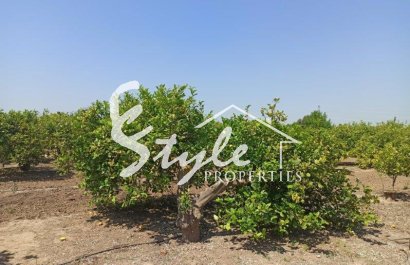 Вторичное жилье - Finca Country Property - Сан Мигель де Салинас - San Miguel De Salinas