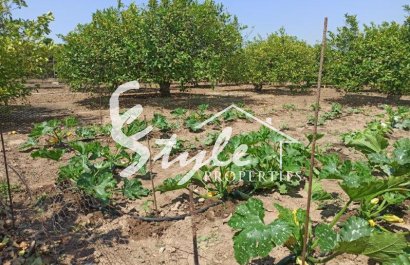 Вторичное жилье - Finca Country Property - Сан Мигель де Салинас - San Miguel De Salinas