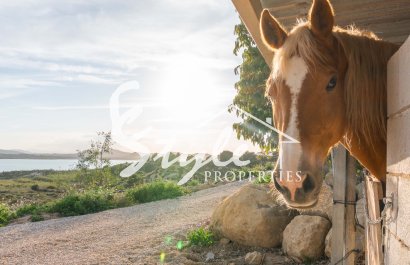 Вторичное жилье - Вилла - Costa Blanca - Ориуэла Коста