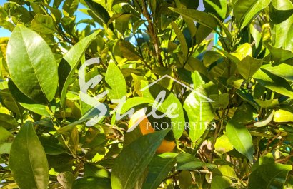 Вторичное жилье - Вилла - Ла Зения