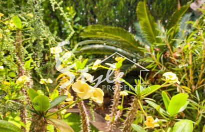 Вторичное жилье - Апартаменты/Квартира - Пунта Прима