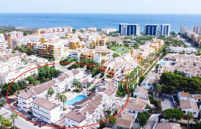 For rent 2 bedroom apartment near the sea in Punta Prima, Costa Blanca, Spain. ID100