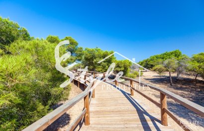 New build - Villa - Guardamar del Segura