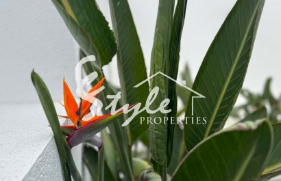 Resale - Villa - Torrevieja - Los Balcones