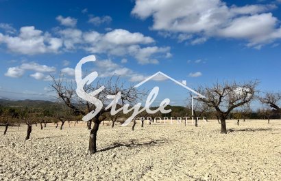 Resale - Land - Bullas - Costa Cálida